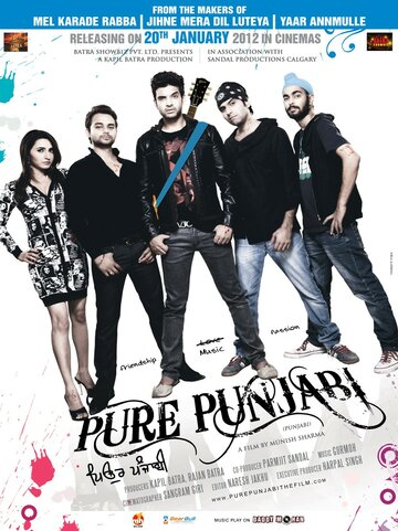 Pure Punjabi (2012)